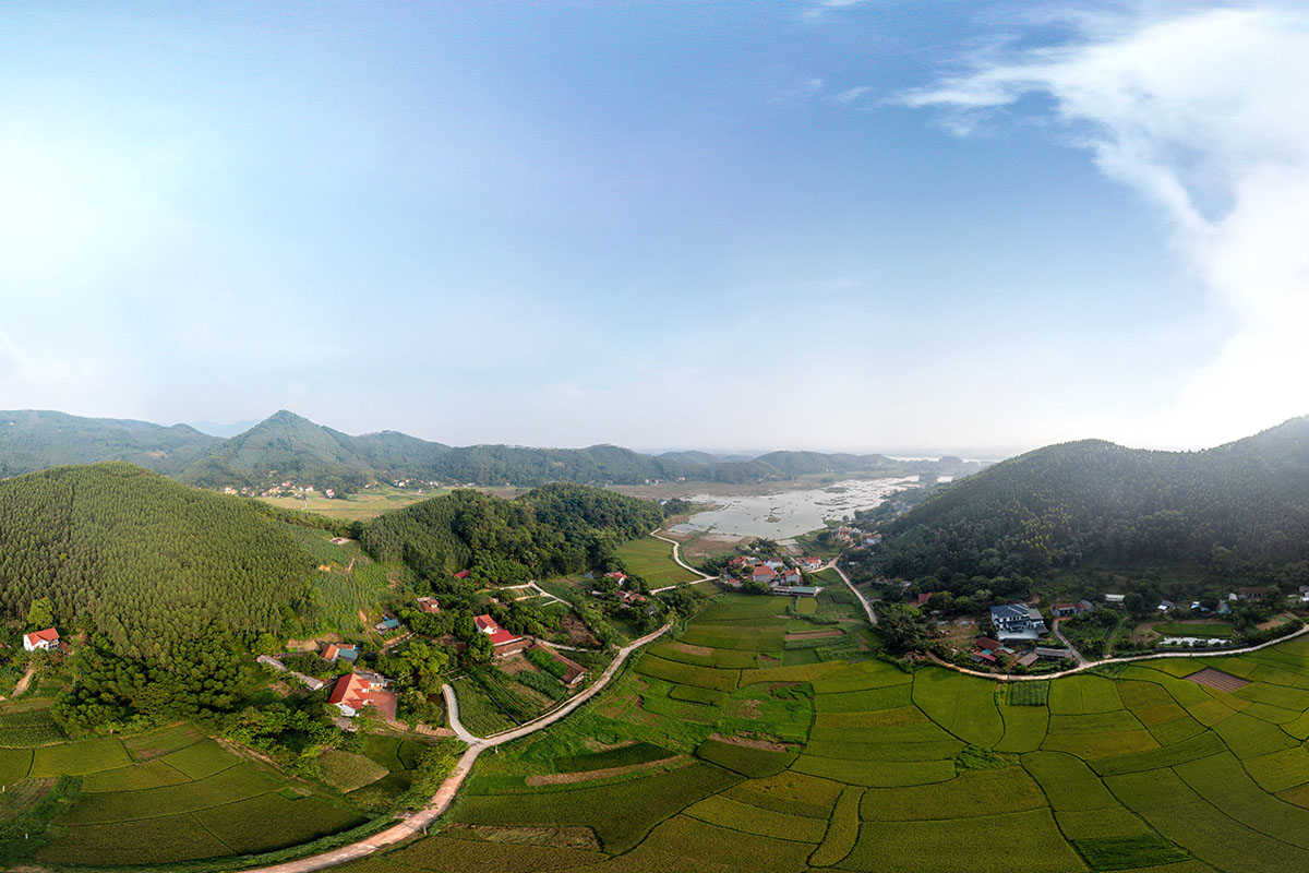 Vườn Cò Hải Lựu