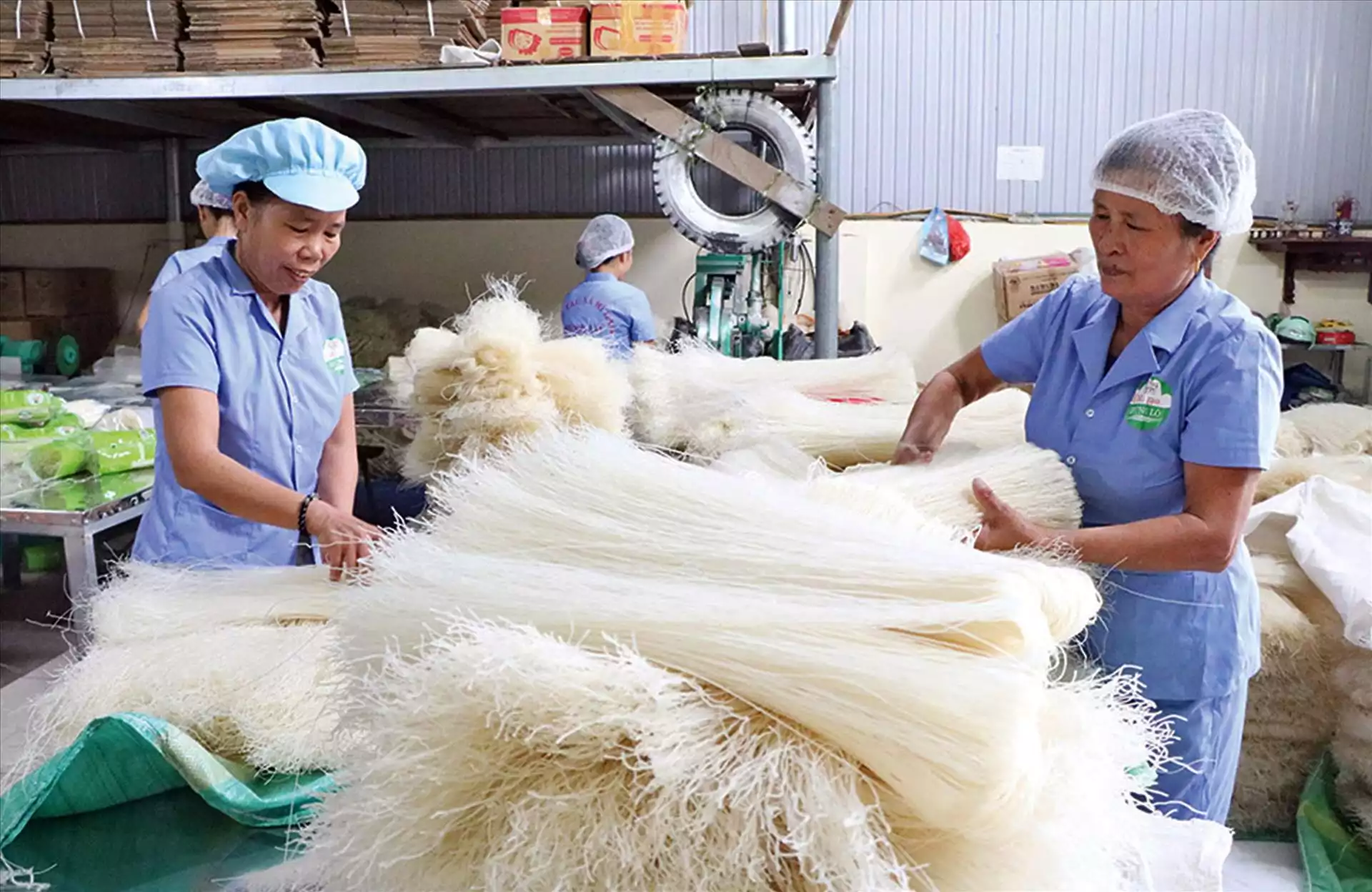 Làng nghề mỳ gạo Hùng Lô